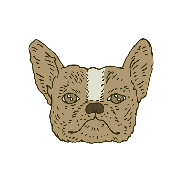 Engraved Domestic Animals Vector 1 Vector Dog 1