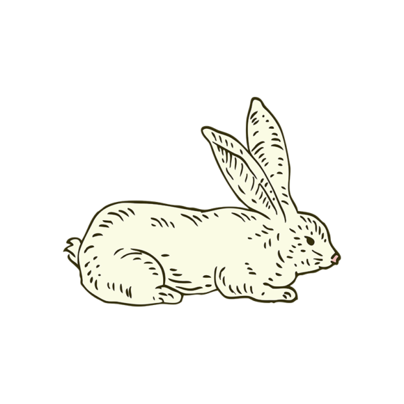 Engraved Domestic Animals Vector 1 Vector Rabbit 1