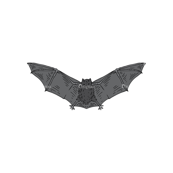 Engraved Halloween Vector Set 1 Vector Bat 1
