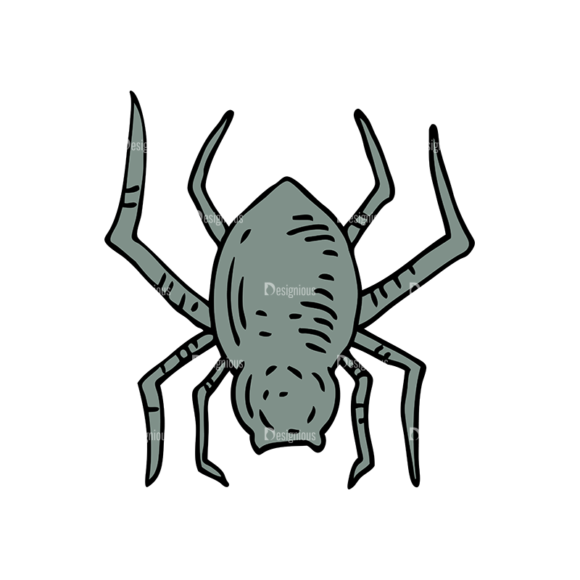 Engraved Halloween Vector Set 1 Vector Spider 1