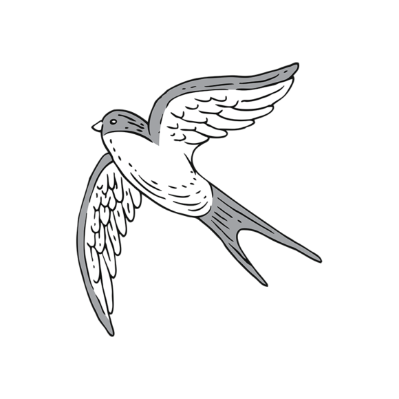 Engraved Vintage Birds Vector 1 Vector Bird 04 1
