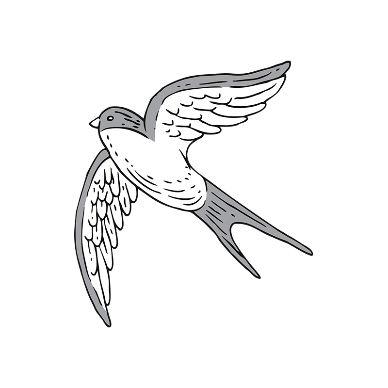 Engraved Vintage Birds Vector 1 Vector Bird 04 - Designious