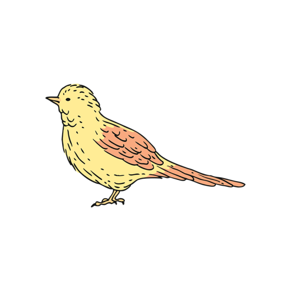 Engraved Vintage Birds Vector 1 Vector Bird 05 1