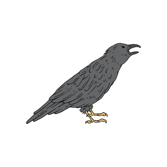 Engraved Wild Animals Vector 1 Vector Crows 1