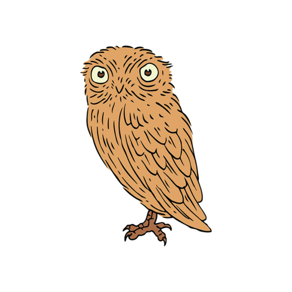 Engraved Wild Animals Vector 1 Vector Owl 1
