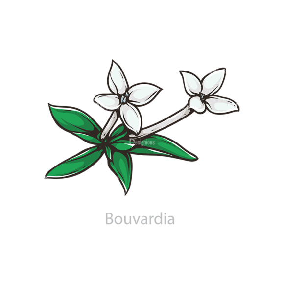 Floral Vector 109 2 1