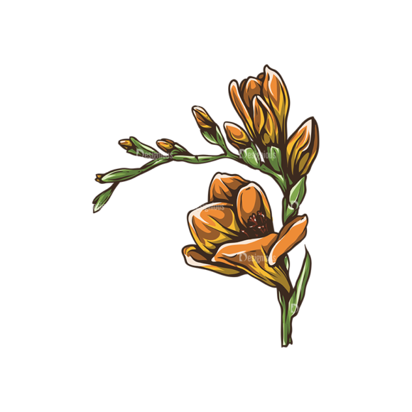 Floral Vector 118 2 1