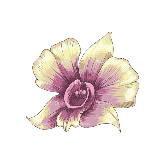 Floral Vector 131 6 1