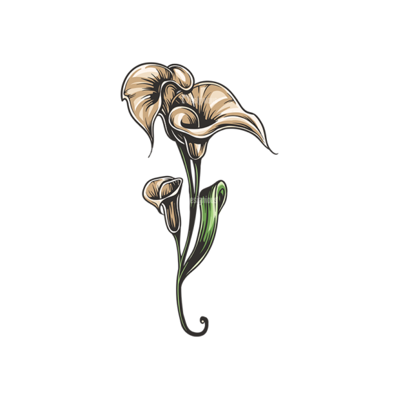 Floral Vector 137 4 1