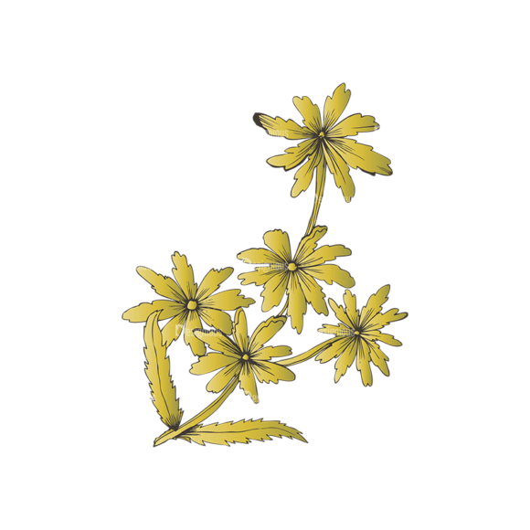 Floral Vector 17 35 1