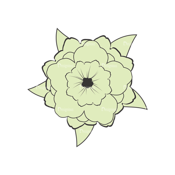 Floral Vector 20 6 1