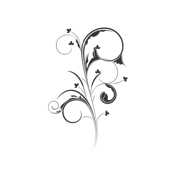 Floral Vector 43 11 1