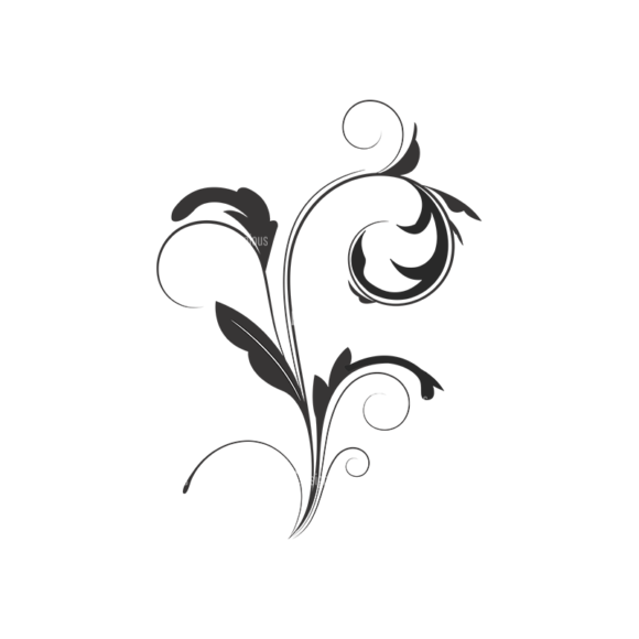 Floral Vector 44 2 1