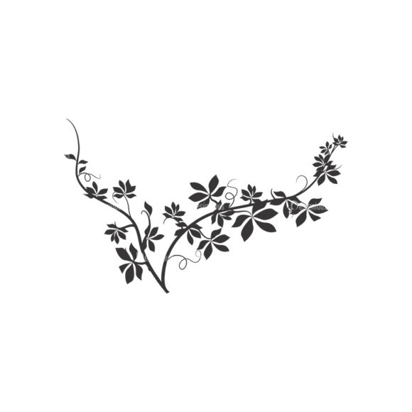 Floral Vector 53 10 1