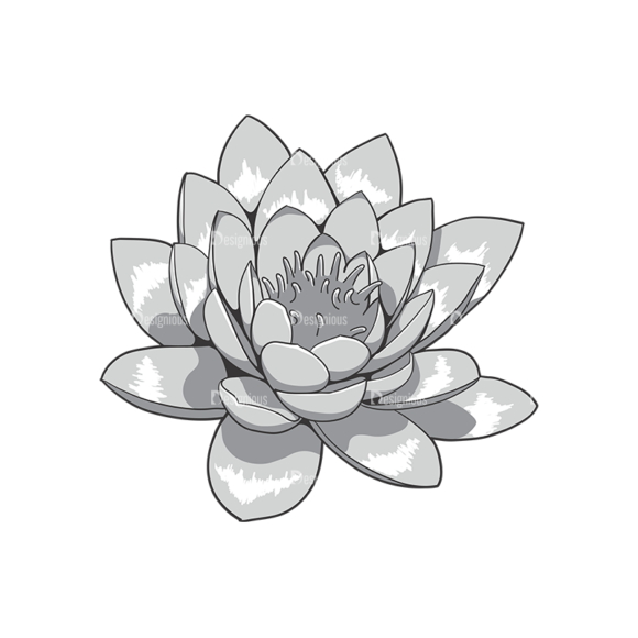 Floral Vector 72 12 1