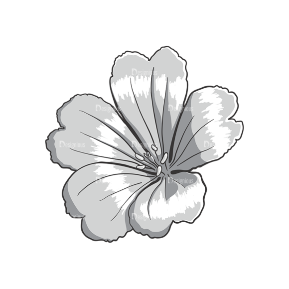 Floral Vector 72 4 1