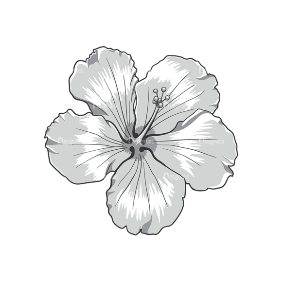 Floral Vector 72 6 1