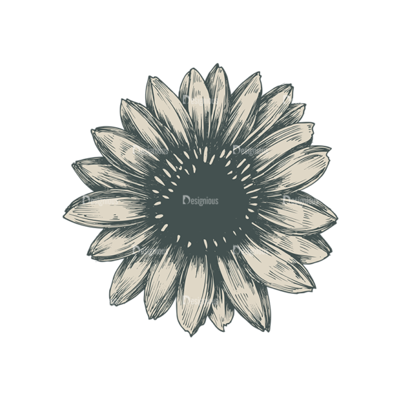 Floral Vector 75 8 1