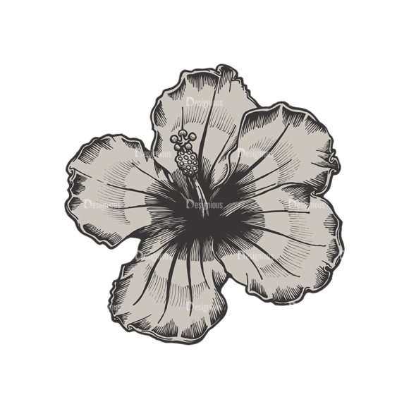 Floral Vector 79 10 1