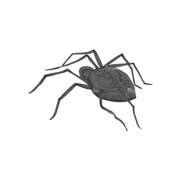 Insects Vector 1 1 1
