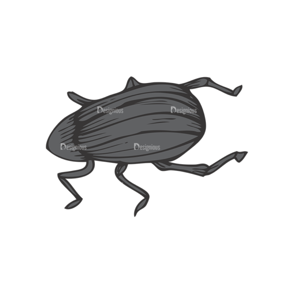 Insects Vector 1 11 1