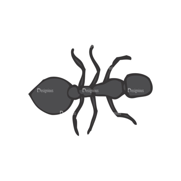 Insects Vector 1 15 1