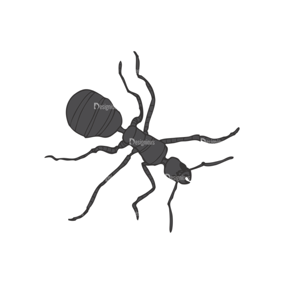 Insects Vector 1 18 1