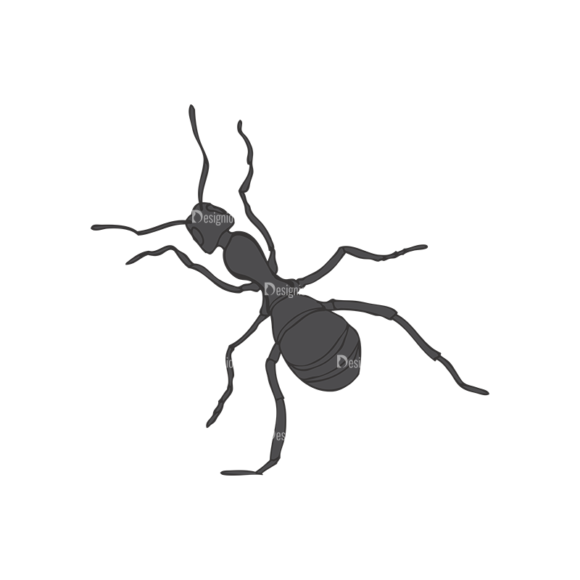 Insects Vector 1 22 1