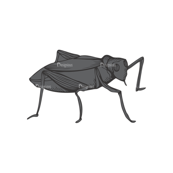 Insects Vector 1 23 1
