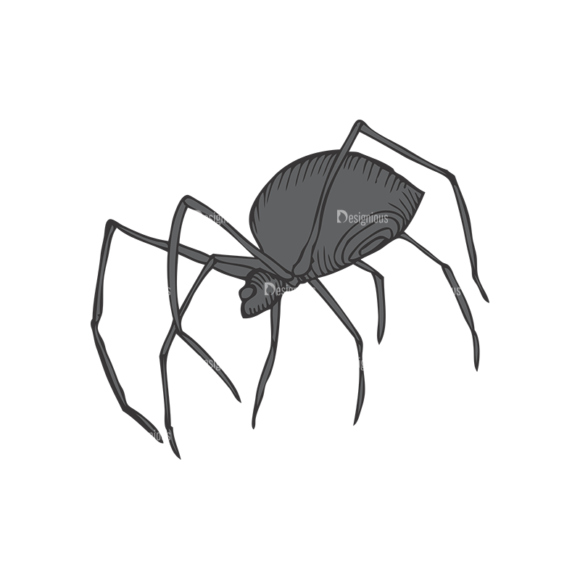 Insects Vector 1 7 1