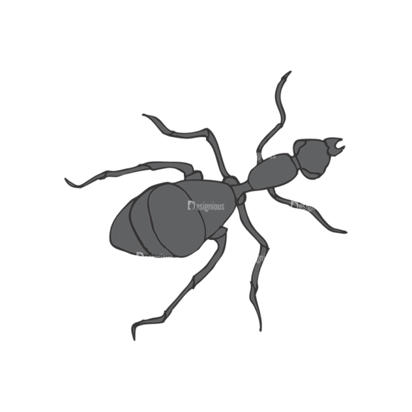 Insects Vector 1 8 1