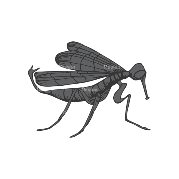 Insects Vector 1 9 1
