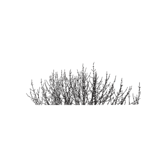 Normal Trees Vector 1 14 1