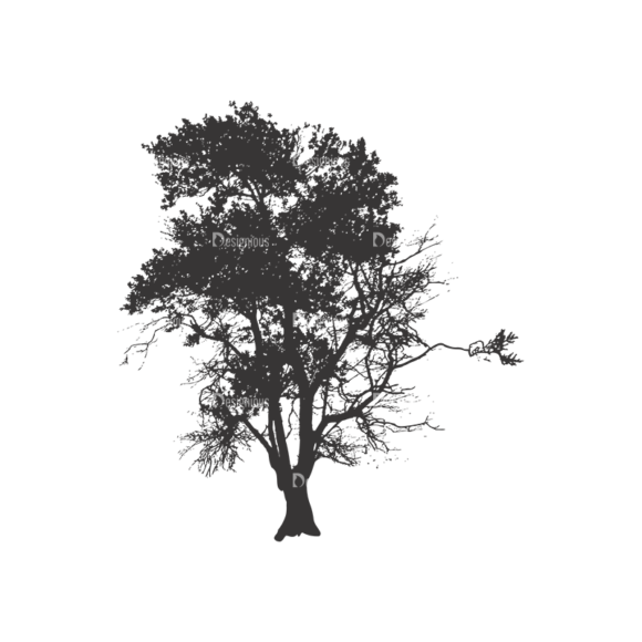 Normal Trees Vector 1 4 1
