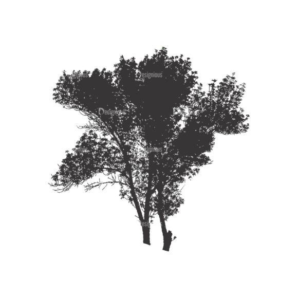 Normal Trees Vector 1 7 1