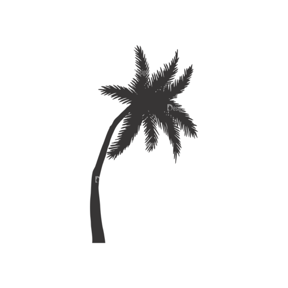 Palm Trees Vector 1 2 1