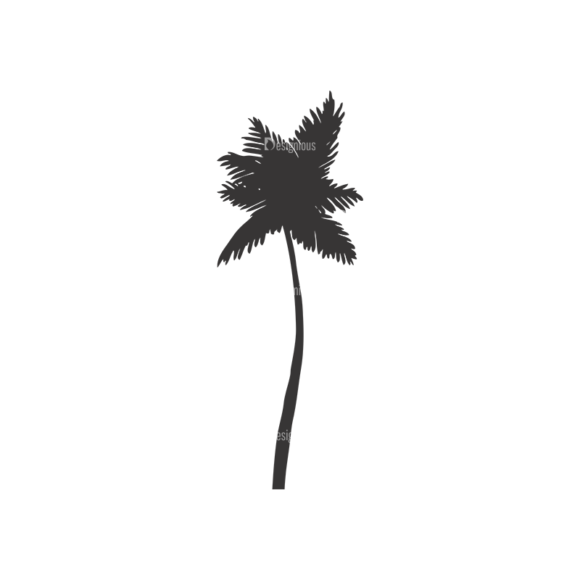 Palm Trees Vector 1 6 1