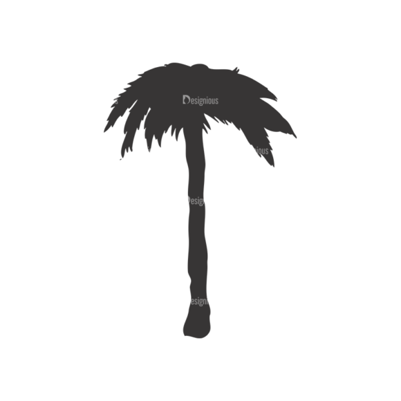Palm Trees Vector 1 7 1