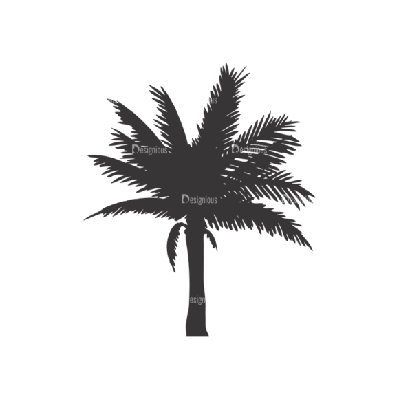 Palm Trees Vector 1 9 1