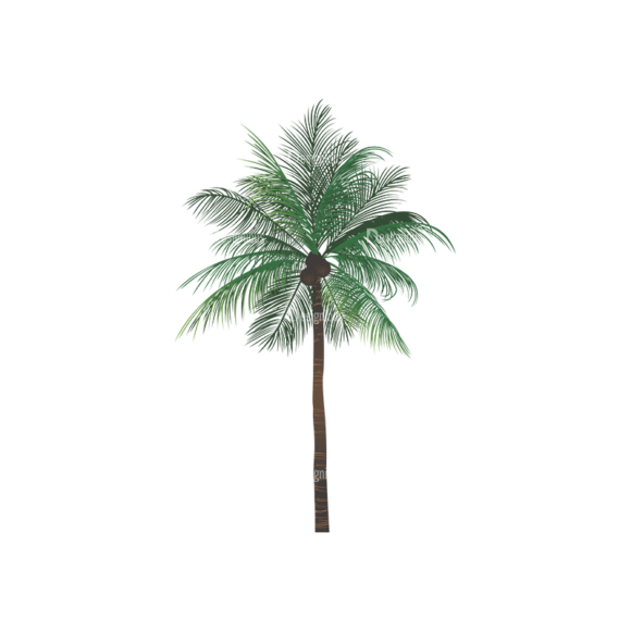 Palm Trees Vector 2 2 1