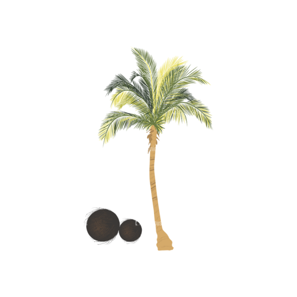 Palm Trees Vector 2 3 1