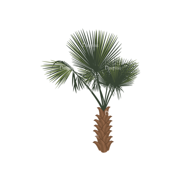 Palm Trees Vector 2 4 1