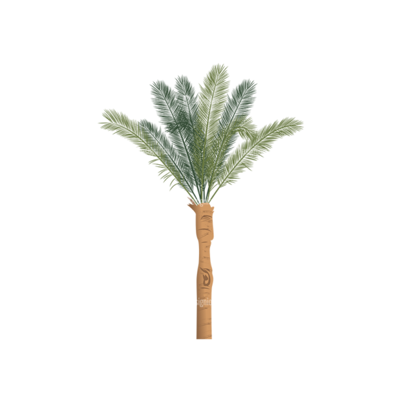Palm Trees Vector 2 5 1