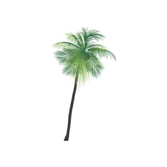 Palm Trees Vector 2 7 1