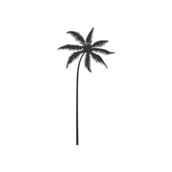 Palm Trees Vector 3 10 1