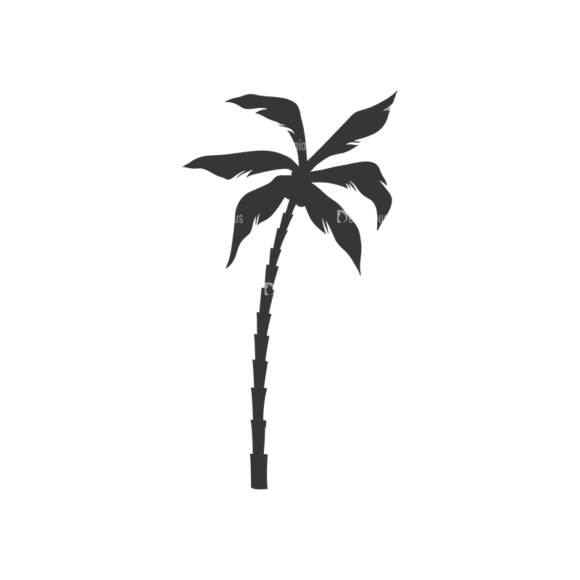 Palm Trees Vector 3 11 1