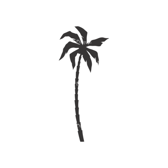Palm Trees Vector 3 12 1