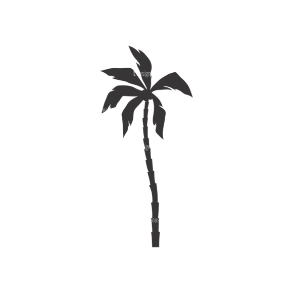 Palm Trees Vector 3 13 1