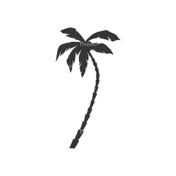 Palm Trees Vector 3 15 1