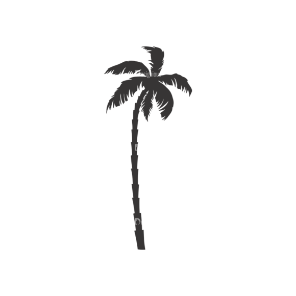Palm Trees Vector 3 16 1